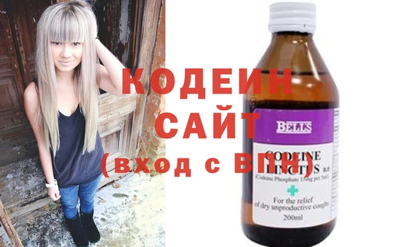 молекула духа Пестово
