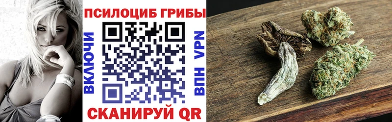 Галлюциногенные грибы мицелий  Яхрома 